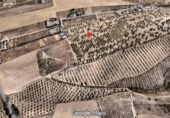 Terreno no urbanizable en venta en la España, Los Llanos, ref: TR415403 foto