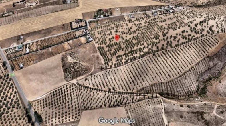 Granada - Los Llanos - 21707m2