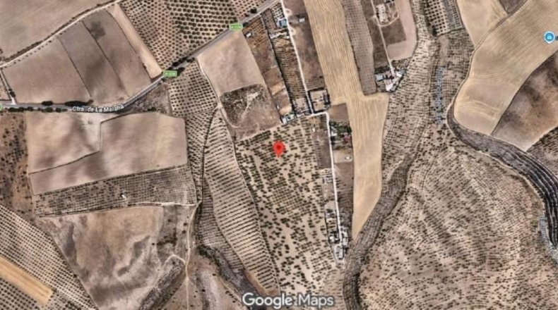 Granada - Los Llanos - 21707m2