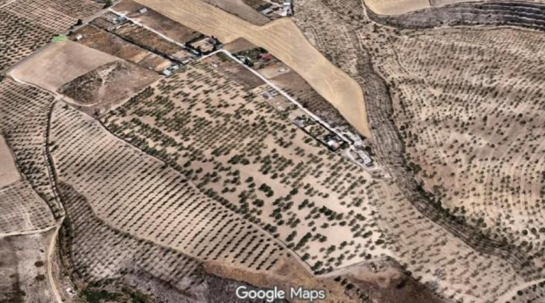 Granada - Los Llanos - 21707m2