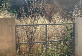 Porreras 270&nbsp;m²