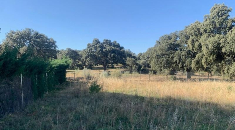 Ávila - Maello - 11540m2