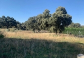 Suelo urbano en venta en la España, Maello, ref: TR415412 foto