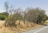 Suelo urbano en venta en la España, Maello, ref: TR415412 foto