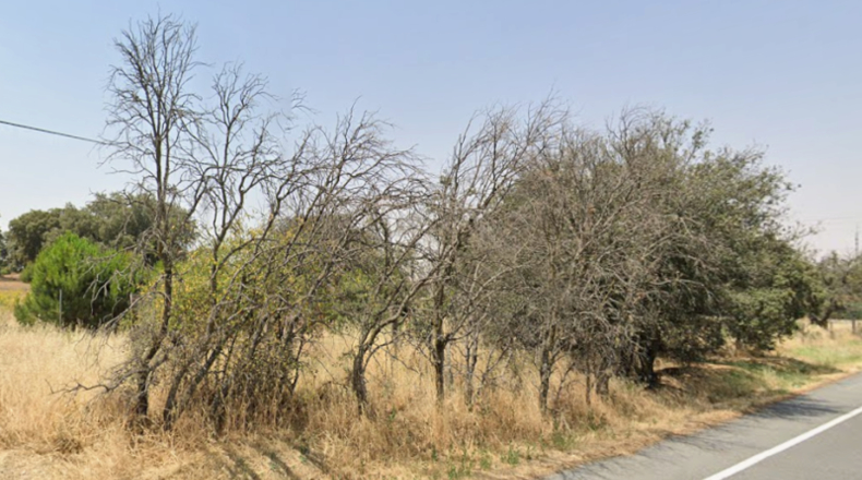 Ávila - Maello - 11540m2