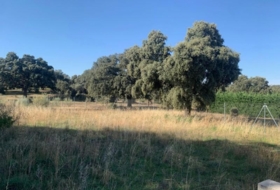 Maello 11540&nbsp;m²