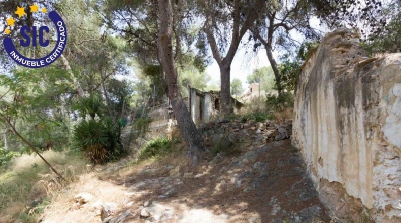 València - Godelleta - 7400m2