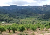 Chalet independiente con terreno en venta en la España, Corbera d'Ebre, ref: TR415417 foto