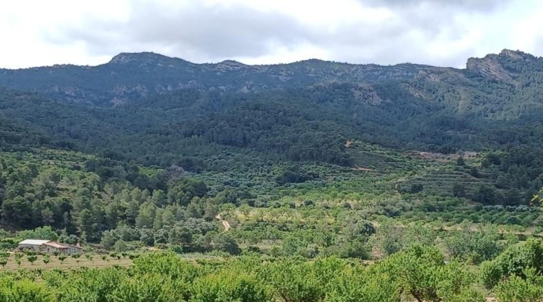 Tarragona - Corbera d'Ebre - 110m2