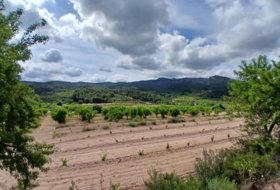 Foto 9