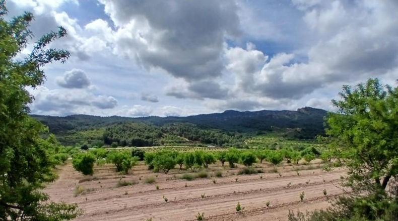 Tarragona - Corbera d'Ebre - 110m2