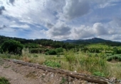 Chalet independiente con terreno en venta en la España, Corbera d'Ebre, ref: TR415417 foto