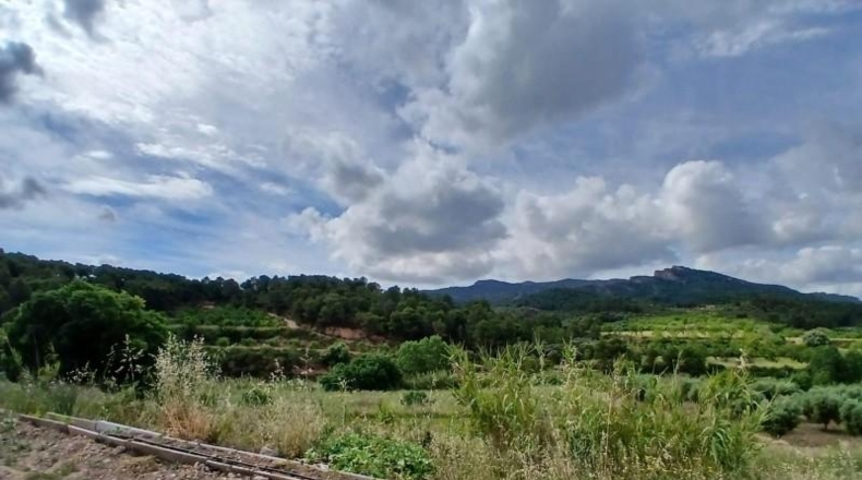 Tarragona - Corbera d'Ebre - 110m2
