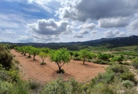 Foto 15