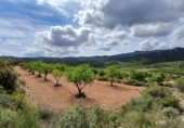 Chalet independiente con terreno en venta en la España, Corbera d'Ebre, ref: TR415417 foto