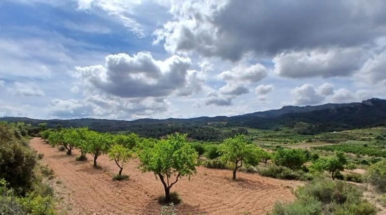 Tarragona - Corbera d'Ebre - 110m2