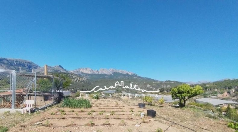 Alicante - Callosa de Ensarriá - 1150m2