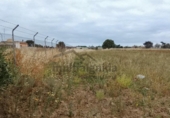 Non-developable land for sale on España, Chipiona, ref: TR415420 photo