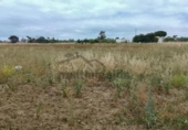 Non-developable land for sale on España, Chipiona, ref: TR415420 photo
