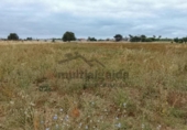 Non-developable land for sale on España, Chipiona, ref: TR415420 photo