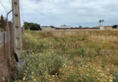 Non-developable land for sale on España, Chipiona, ref: TR415420 photo