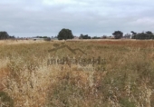 Non-developable land for sale on España, Chipiona, ref: TR415420 photo