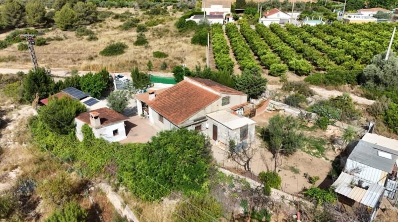 Valencia - Villamarchante - 1491m2