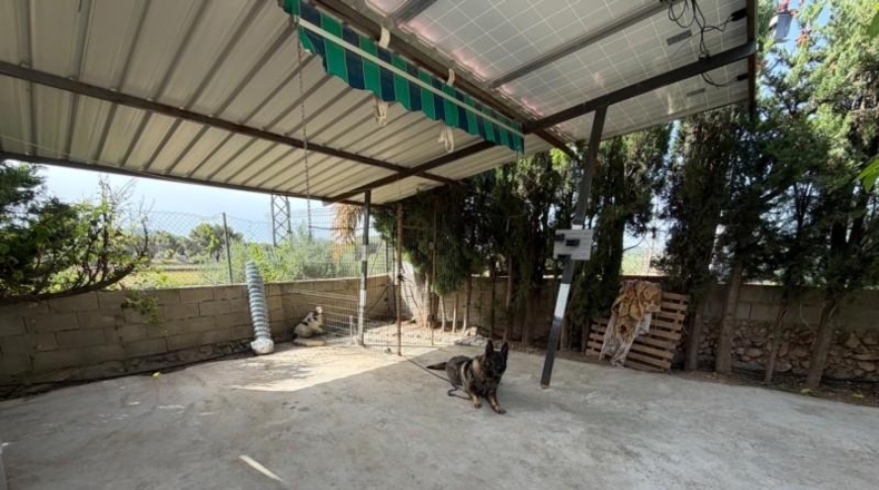 Valencia - Villamarchante - 1491m2