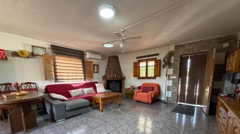 Valencia - Villamarchante - 1491m2