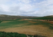 Terreno no urbanizable en venta en la España, Cijuela, ref: TR311784 foto