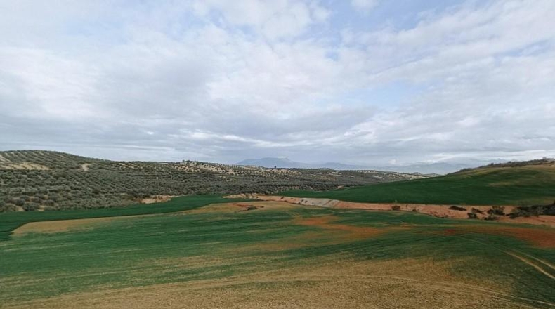 Granada - Cijuela - 53789m2