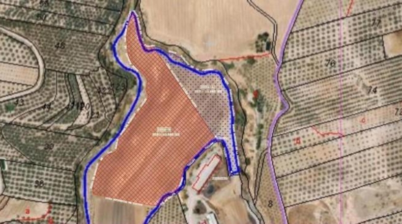 Granada - Cijuela - 53789m2