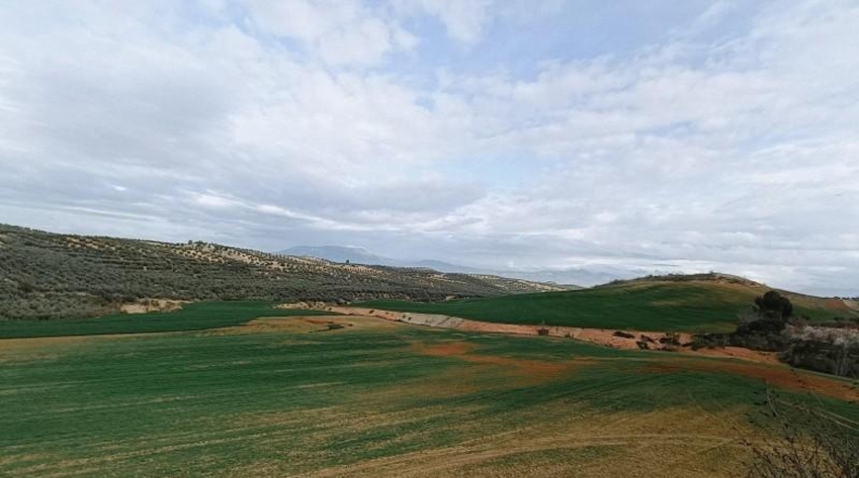 Granada - Cijuela - 53789m2