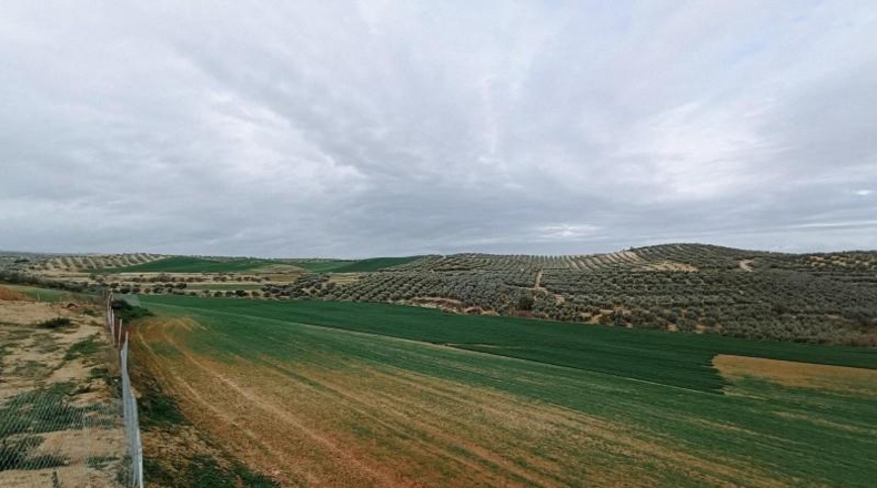Granada - Cijuela - 53789m2