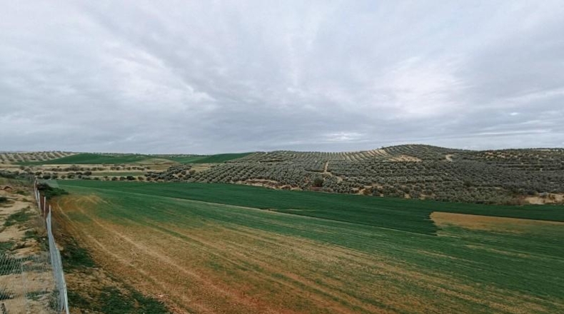 Granada - Cijuela - 53789m2