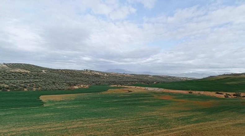 Granada - Cijuela - 53789m2