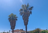 Detached villa with land for sale on España, El Puerto de Santa María, ref: TR415431 photo