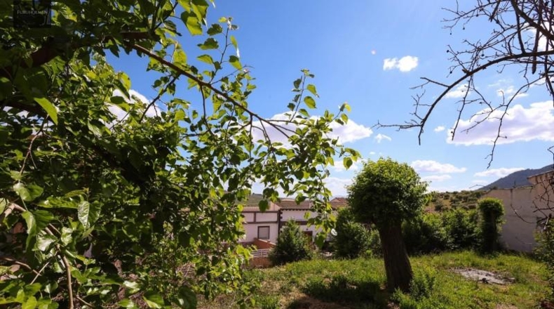 Granada - Íllora - 2043m2
