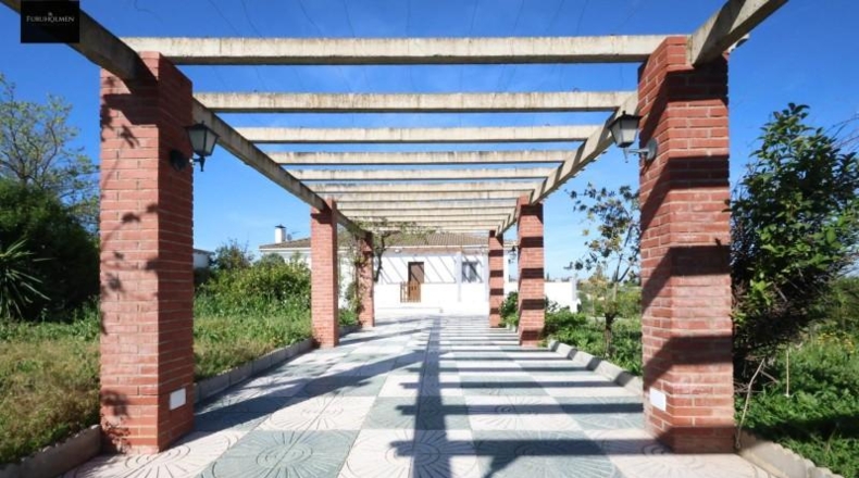 Granada - Moraleda de Zafayona - 25000m2