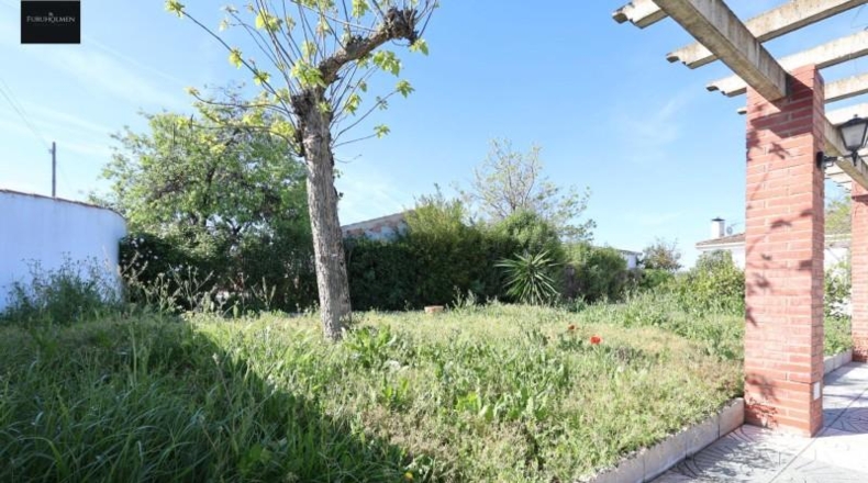 Granada - Moraleda de Zafayona - 25000m2