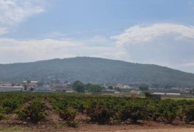 Foto 12