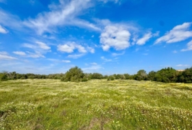 Campos 16380&nbsp;m²