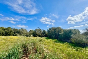 Campos 16380&nbsp;m²