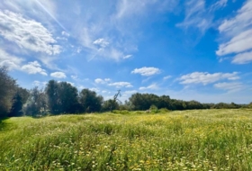 Campos 16380&nbsp;m²