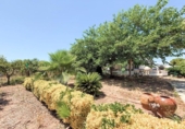 Chalet independiente con terreno en venta en la España, Alcanar, ref: TR415448 foto