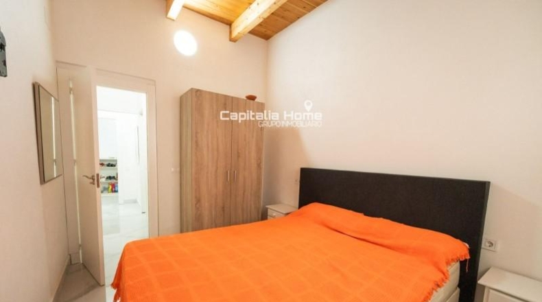 Alicante - Orihuela - 302m2