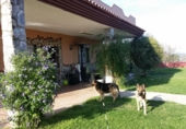 Chalet independiente con terreno en venta en la España, Guaro, ref: TR396472 foto