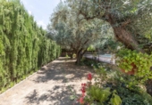 Chalet independiente con terreno en venta en la España, Gójar, ref: TR415468 foto