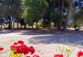 Chalet independiente con terreno en venta en la España, Los Alcázares, ref: TR280592 foto
