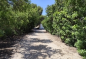 Chalet independiente con terreno en venta en la España, Los Alcázares, ref: TR280592 foto
